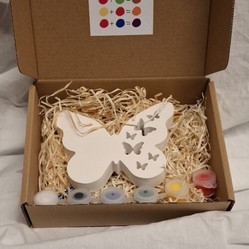 DIY pakket Verfpret - vlinder