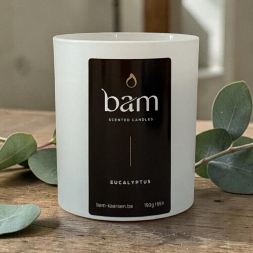 Eucalyptus Geurkaars – Handgemaakte Geurkaars met Houten Wiek - White Collection Medium