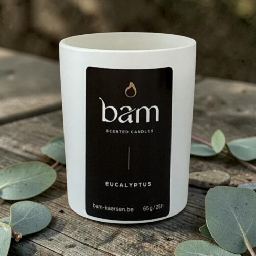 Mini Eucalyptus Geurkaars – Verfrissende Geurkaars met Houten Wiek - White Collection Small