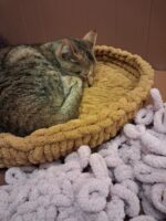 diy kattenmand